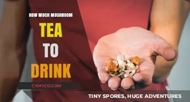 Exploring the Optimal Dosage of Mushroom Tea for Health and Wellness