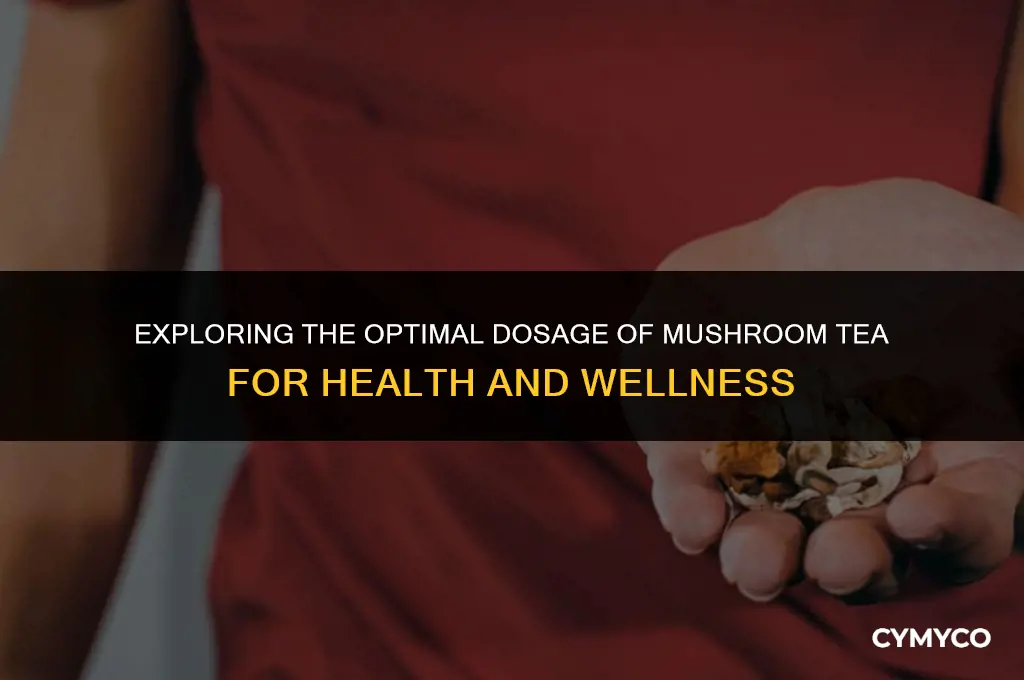 how much mushroom tea to drink