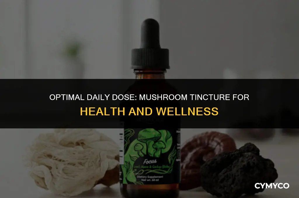 how much mushroom tincture per day