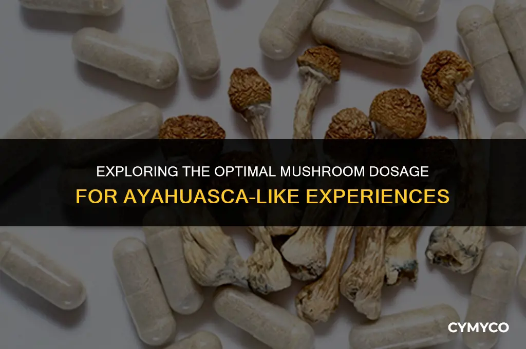 how much mushroom to compare to ayahuasca