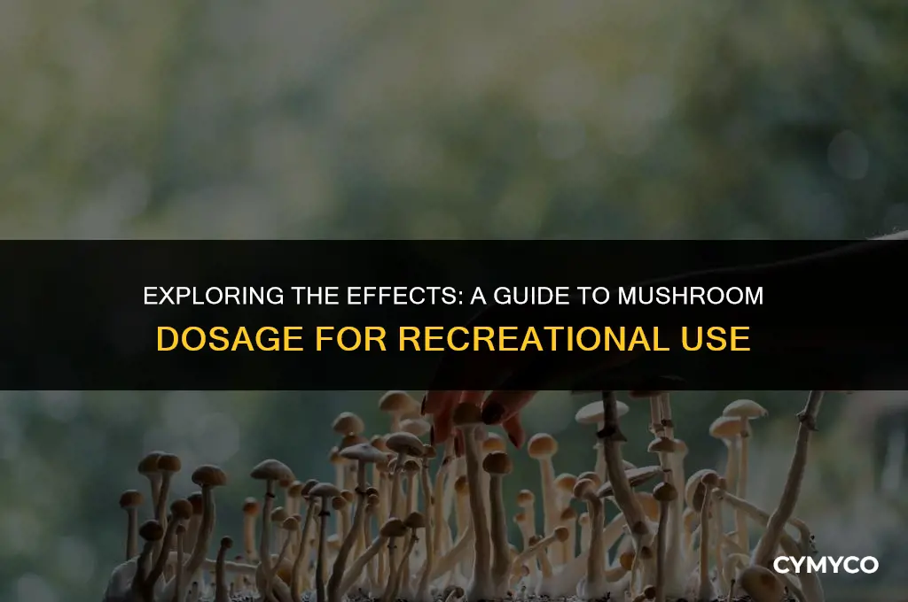 how much mushroom to get high
