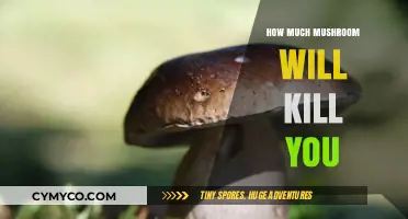 Deadly Dose: The Lethal Limit of Mushroom Consumption