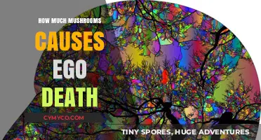 Exploring the Depths: A Guide to Mushroom-Induced Ego Dissolution