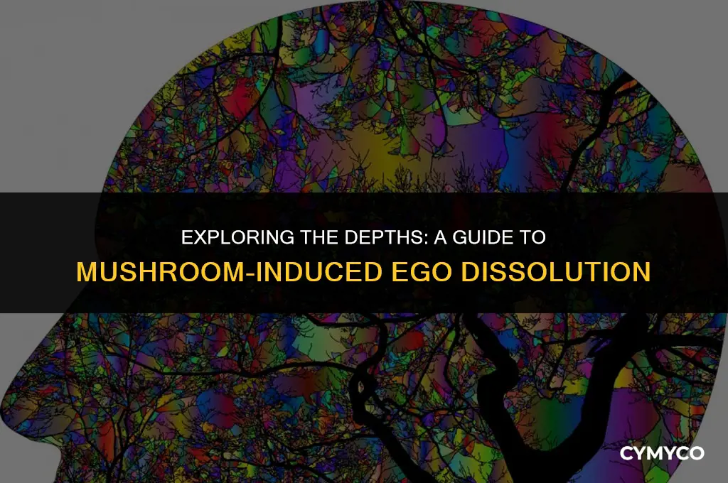 how much mushrooms causes ego death