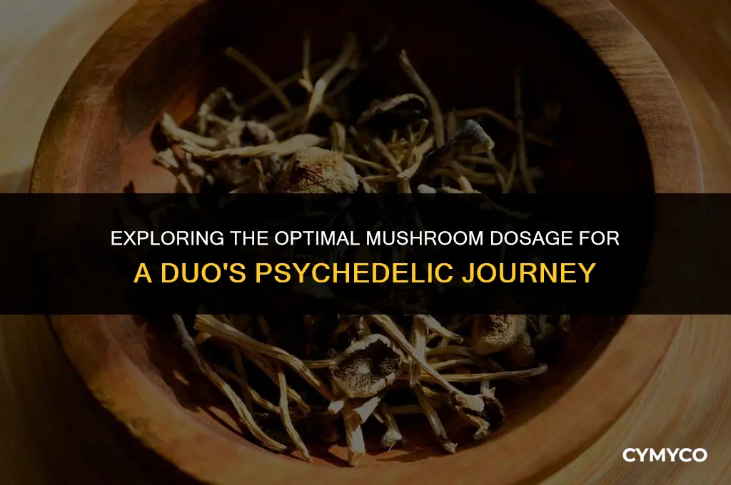 how much mushrooms do 2 people need to trip