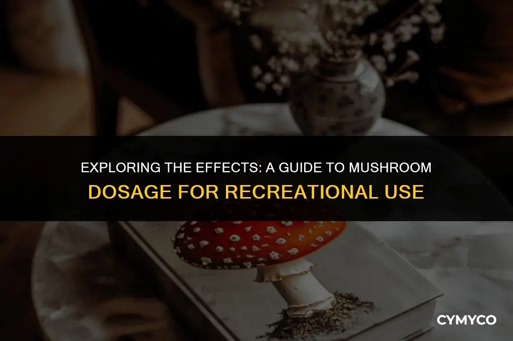 how much mushrooms do inneed to get high