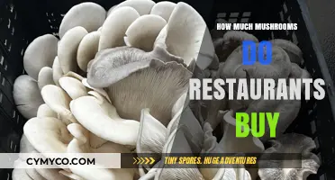 Exploring the Culinary Demand: How Much Mushrooms Do Restaurants Buy?
