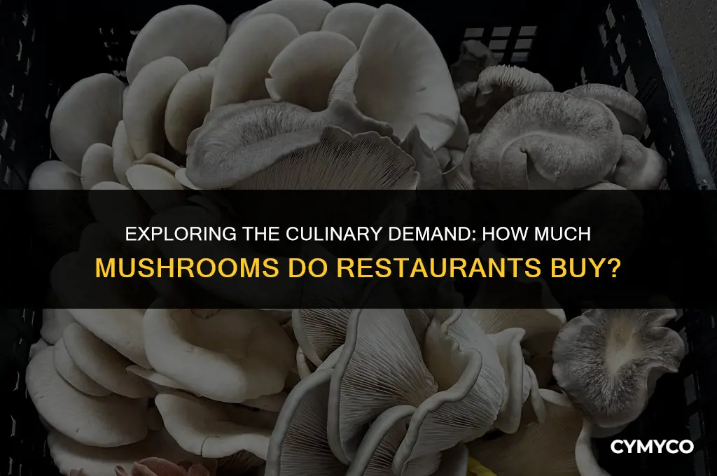 how much mushrooms do restaurants buy