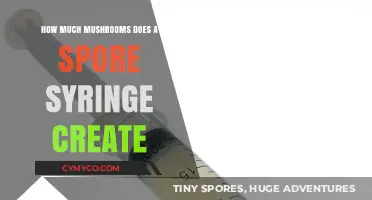 Unlocking the Potential: A Guide to Spore Syringe Yields