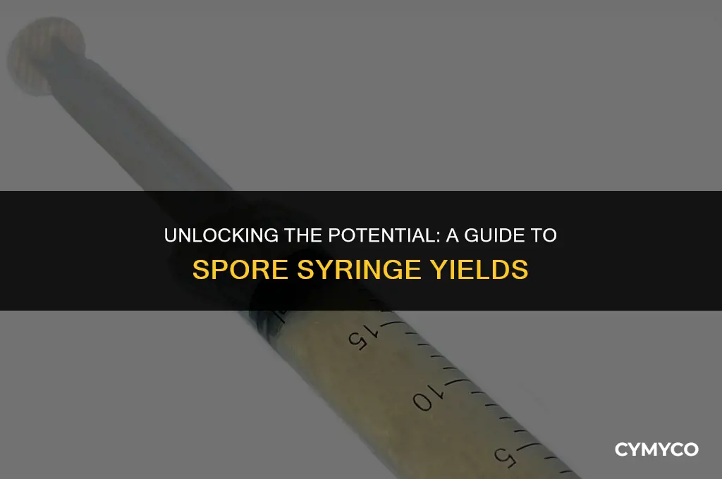 how much mushrooms does a spore syringe create