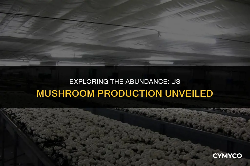 how much mushrooms does the us produce