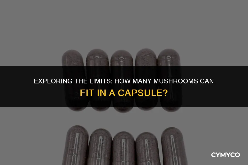 how much mushrooms fit in a capsule