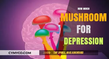 Exploring the Potential of Mushrooms in Alleviating Depression Symptoms