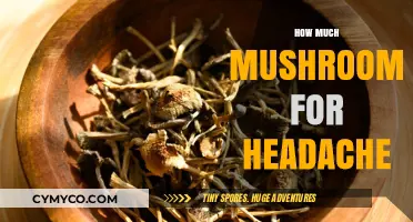 Natural Relief: Exploring Mushroom Dosage for Headache Management
