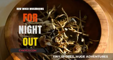 Dosage Guide: Magic Mushrooms for a Night Out Adventure