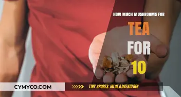 Perfecting Your Mushroom Tea: Dosage Guide for a Group of Ten