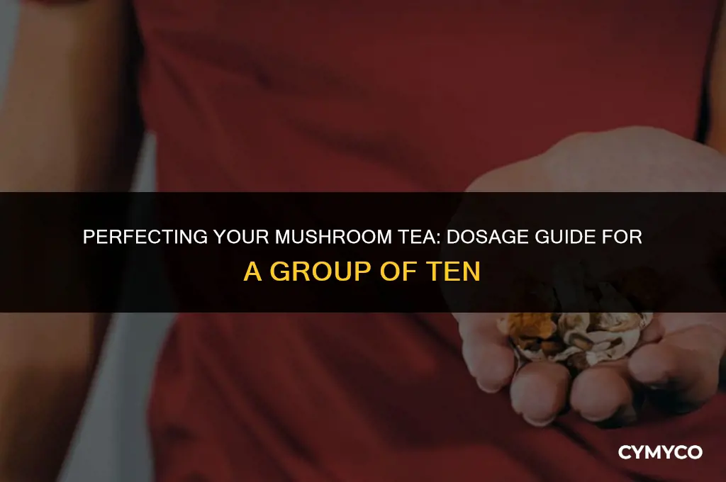 how much mushrooms for tea for 10