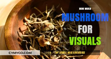 Exploring the Optimal Mushroom Dosage for Visual Experiences