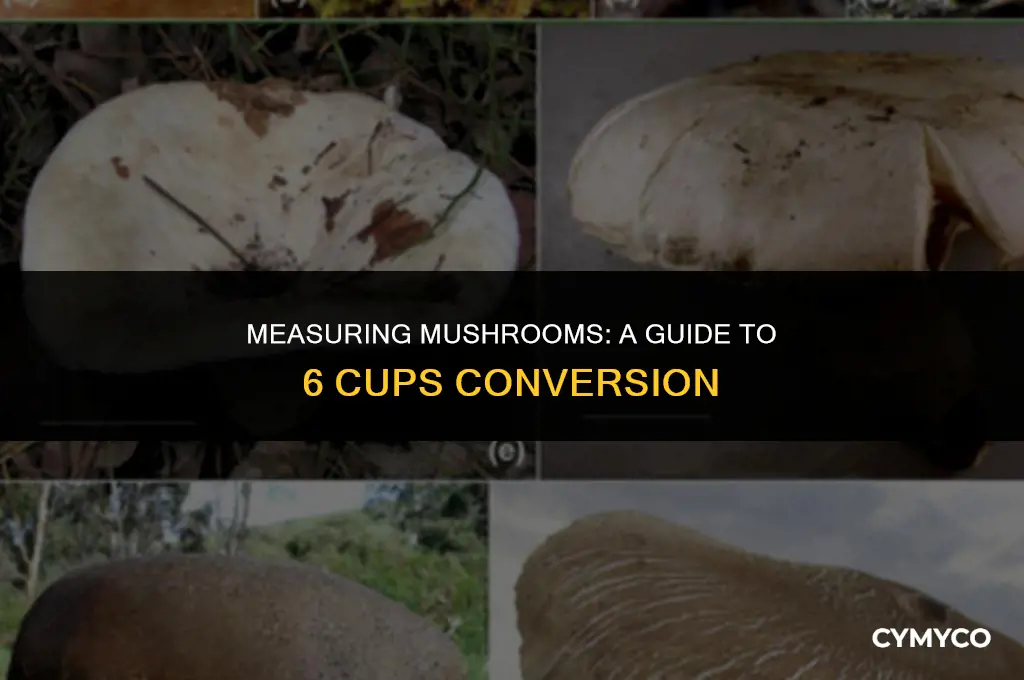 how much mushrooms in 6 cups