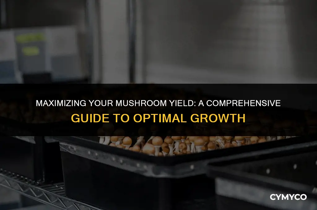 how much mushrooms in one grow