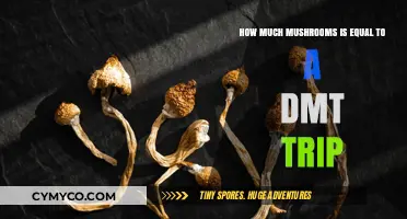 Exploring the Equivalence: Mushroom Dosage for a DMT-Like Experience