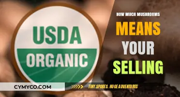 Decoding the Market: Understanding Mushroom Sales Quantities