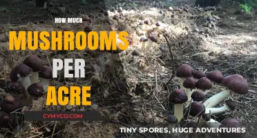 Maximizing Mushroom Yield: A Guide to Optimal Acreage Production