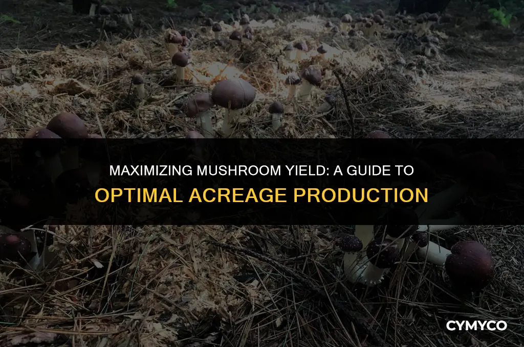 how much mushrooms per acre