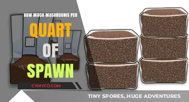Optimizing Mushroom Yield: Spawn-to-Substrate Ratio Explained