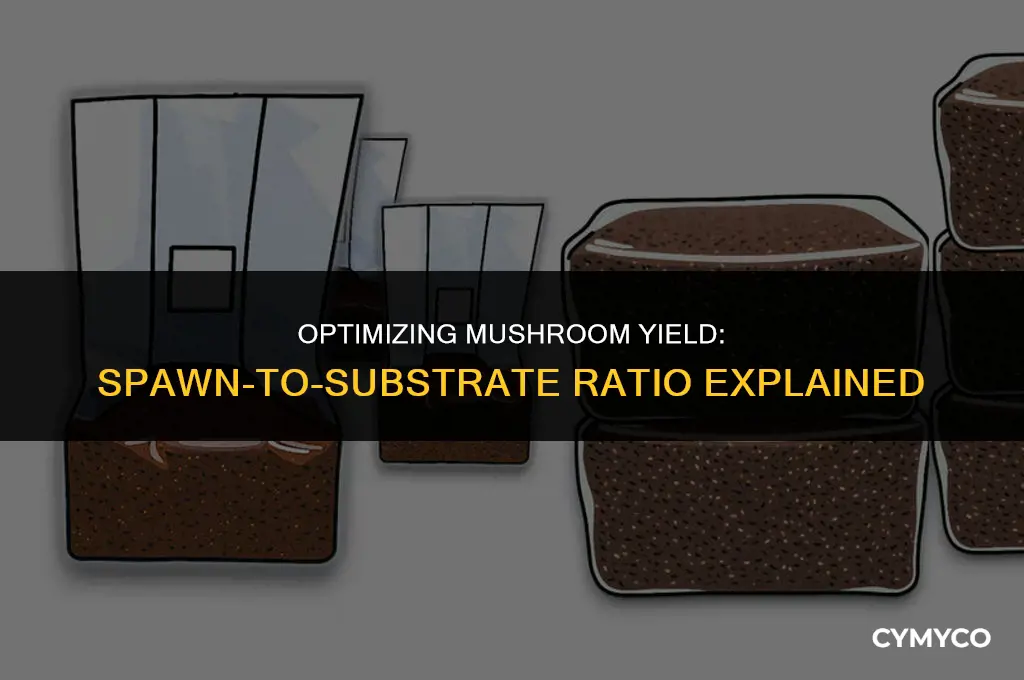how much mushrooms per quart of spawn