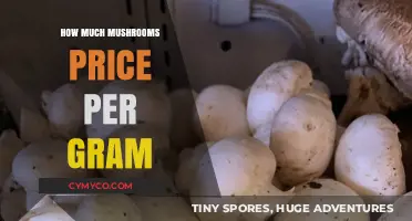 Exploring the Cost: How Much Do Mushrooms Price Per Gram?
