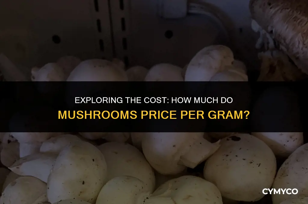 how much mushrooms price per gram