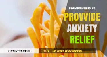 Exploring the Calming Effects of Mushrooms on Anxiety