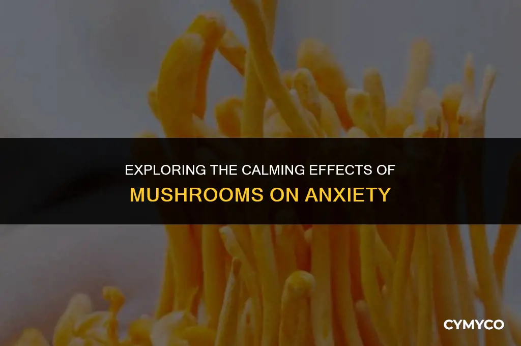 how much mushrooms provvide anxiety relief