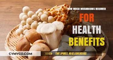 Unlocking Wellness: The Optimal Mushroom Intake for Health Benefits