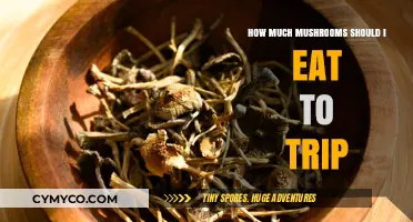 Exploring the Optimal Mushroom Dosage for a Psychedelic Journey