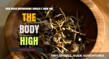 Exploring the Optimal Mushroom Dosage for a Euphoric Experience