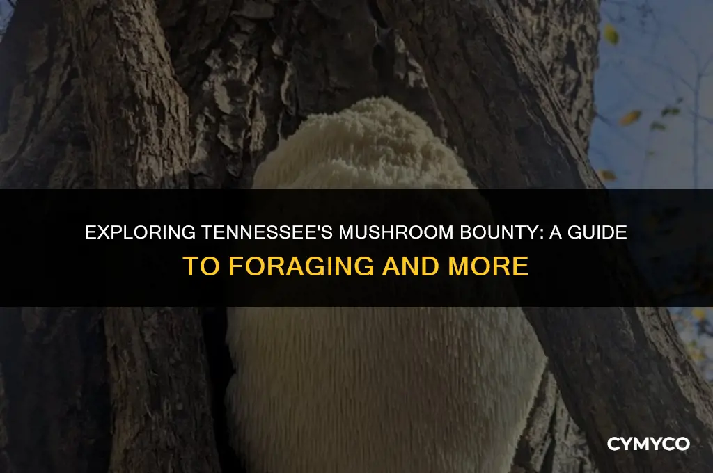 how much mushrooms tenesse