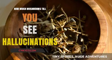 Exploring the Psychedelic Realm: A Guide to Mushroom Hallucinations
