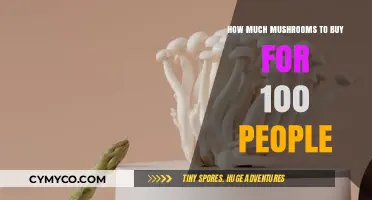 Feeding a Crowd: The Ultimate Guide to Buying Mushrooms for 100 People
