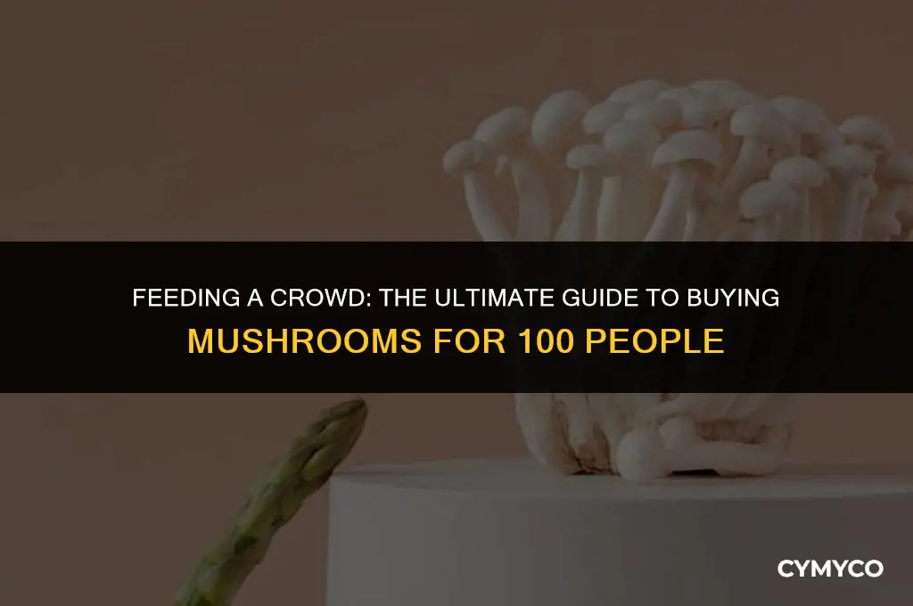 how much mushrooms to buy for 100 people
