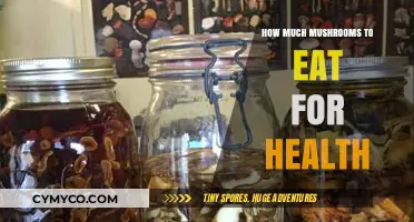 Unlocking the Power of Mushrooms: A Guide to Optimal Health Benefits