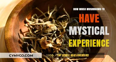 Unlocking the Mystical: A Guide to Mushroom Dosage for Transcendental Journeys
