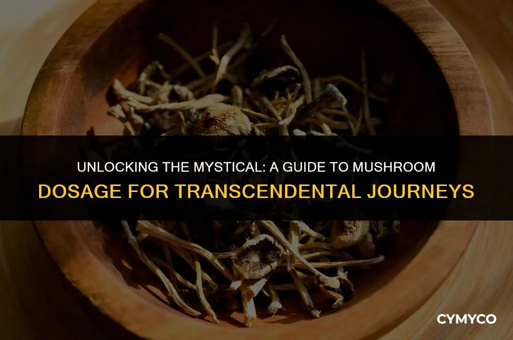 how much mushrooms to have mystical experience