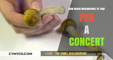 Enhancing Your Concert Experience: A Guide to Mushroom Dosage
