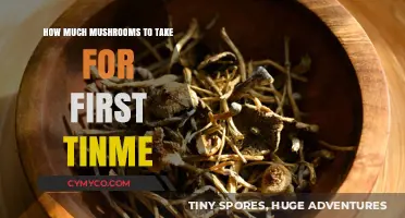 A Beginner's Guide to Mushroom Dosage: Safe First-Time Use