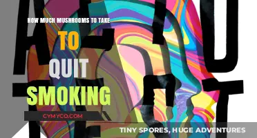 Natural Remedies: Using Mushrooms to Curb Smoking Habits