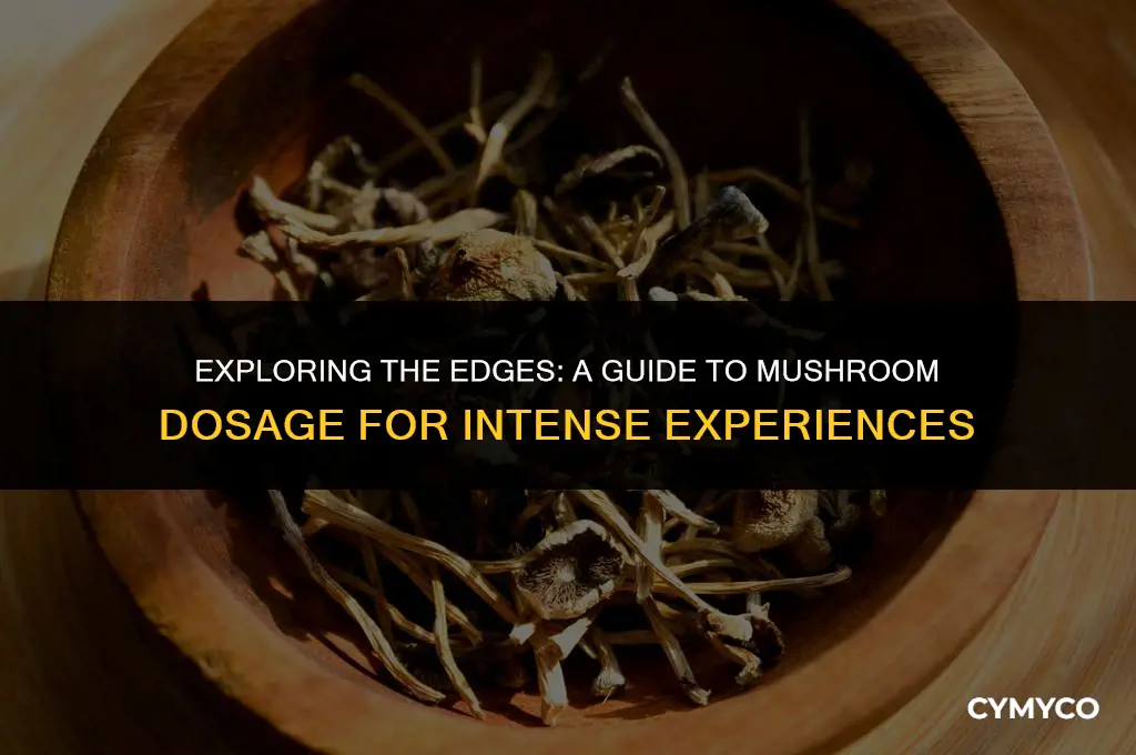 how much mushrooms to trip hard