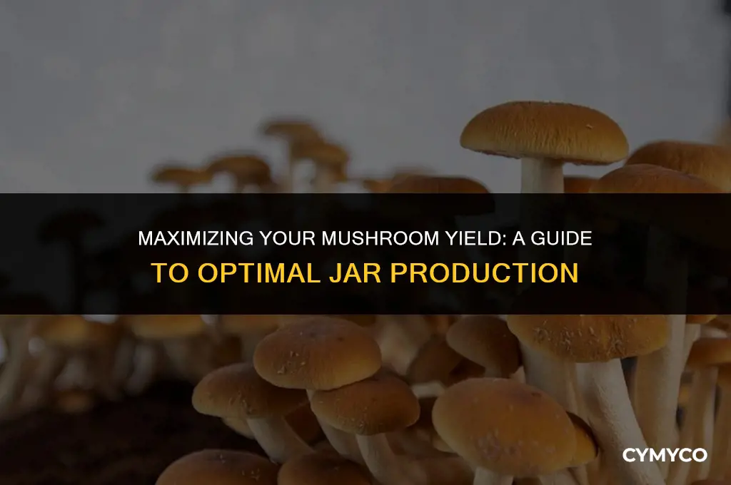 how much mushrooms will one jar yeald