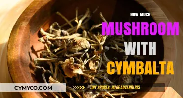 Exploring the Safe Use of Mushrooms with Cymbalta: A Comprehensive Guide